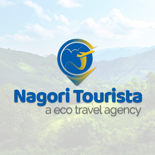 nagori tourista logo Design